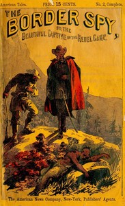 Cover of The Border Spy; or, The Beautiful Captive of the Rebel Camp A Story of the War — Key Ideas to Explore